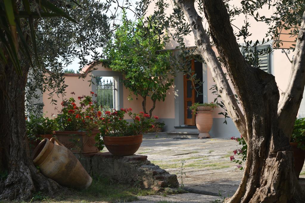 Bed and Breakfast La Convenienza à Uliveto Terme Extérieur photo